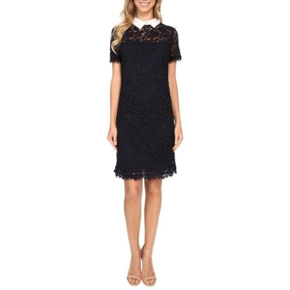 Lauren Ralph Lauren Black Lace Collared Dress - Picture 13 of 13